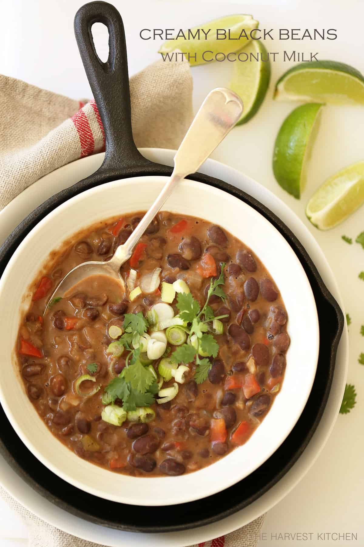 Creamy Black Beans with Coconut Milk