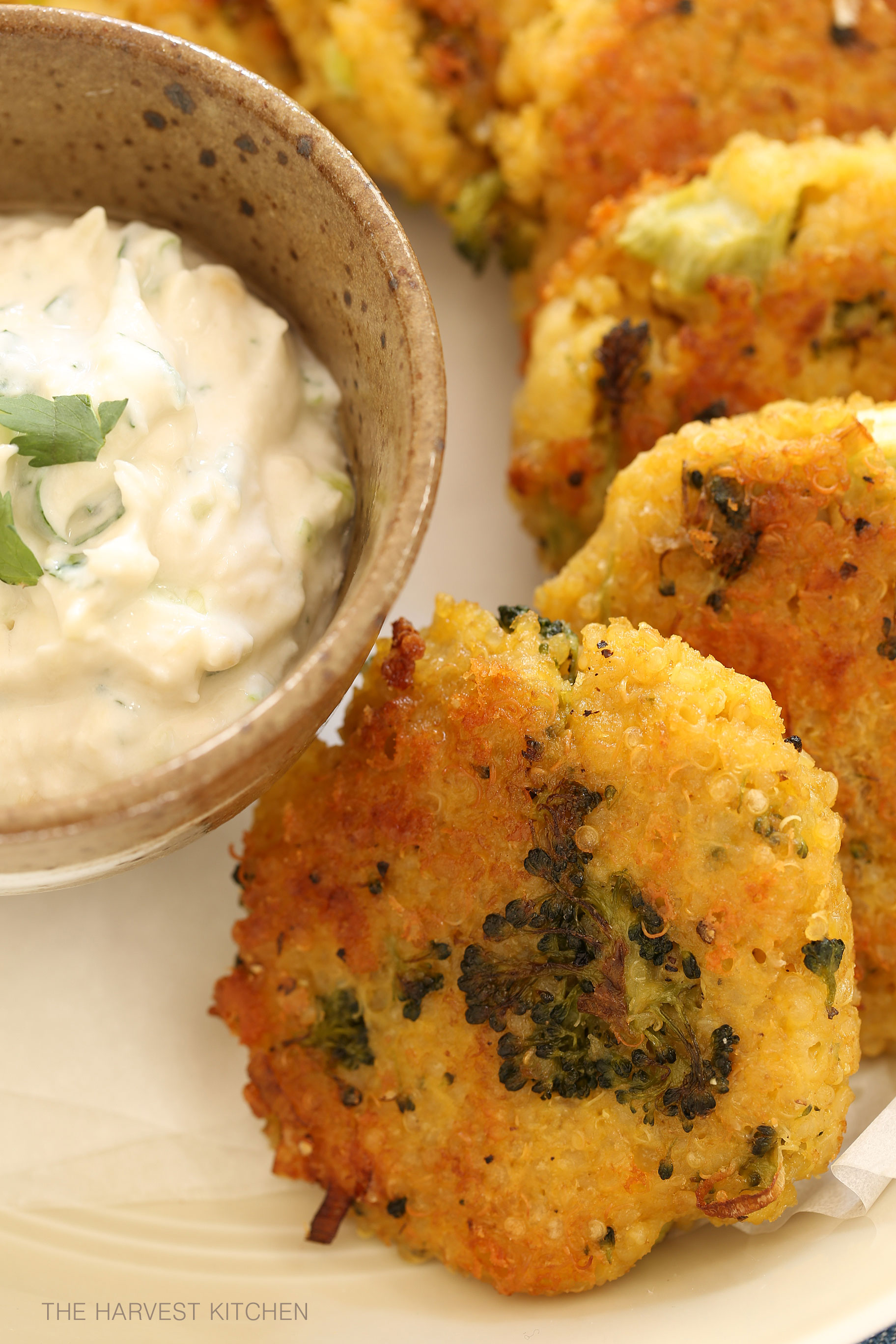 Cheesy Quinoa Broccoli Patties - The Harvest Kitchen