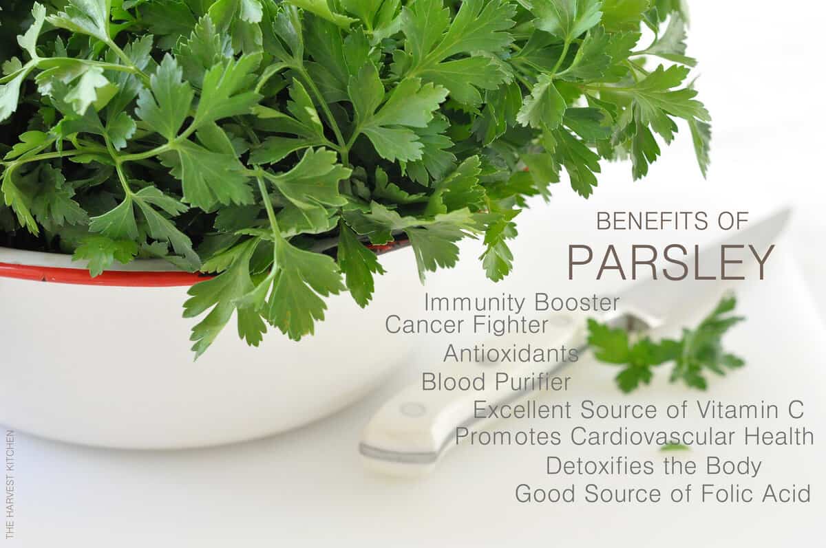 benefits-of-parsley