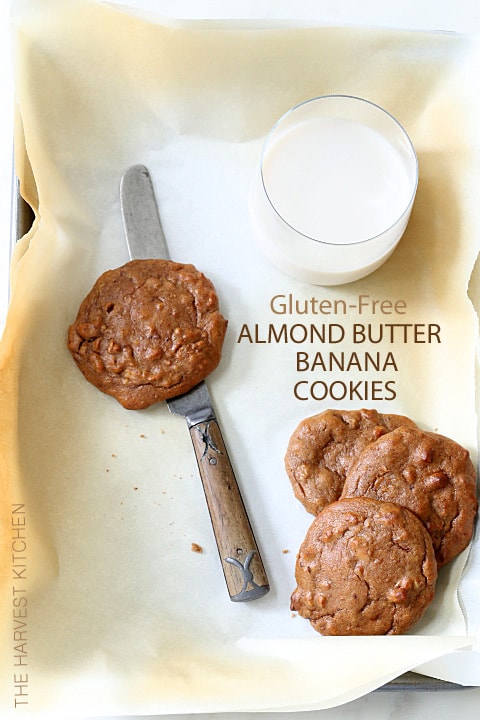 Almond Butter Banana Cookies are  made with almond butter, bananas and dates and absolutely no flour at all