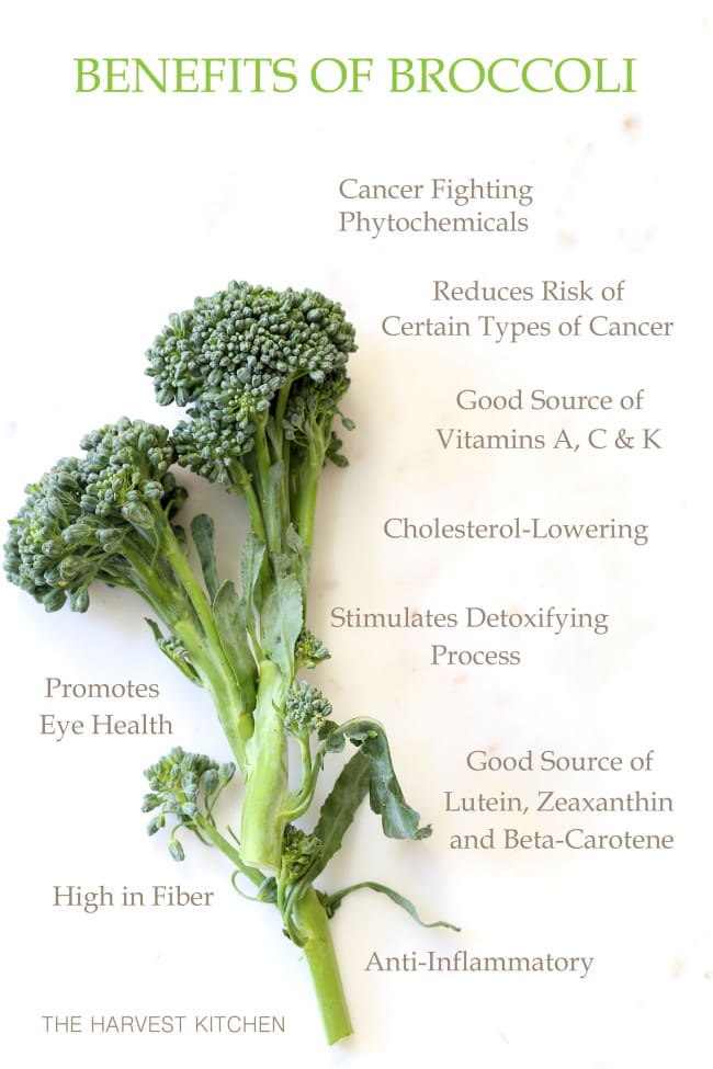 Broccoli Detox Salad is crisp and crunchy and loaded with broccoli, blueberries, cranberries and onion all tossed in a delicious light orange dressing