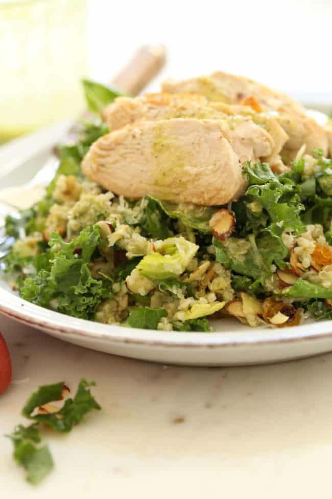 A white plate of curly kale and quinoa salad with grilled chicken.