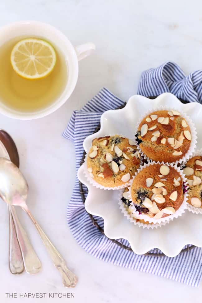 This Gluten Free Lemon Blueberry Muffins recipe is made with almond flour, honey, blueberries and lemon. These almond flour blueberry muffins are light and fluffy, easy to make and completely habit-forming.