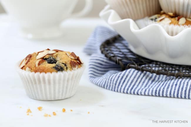 A white dish filled with muffins. A single blueberry muffin sits next to the dish.