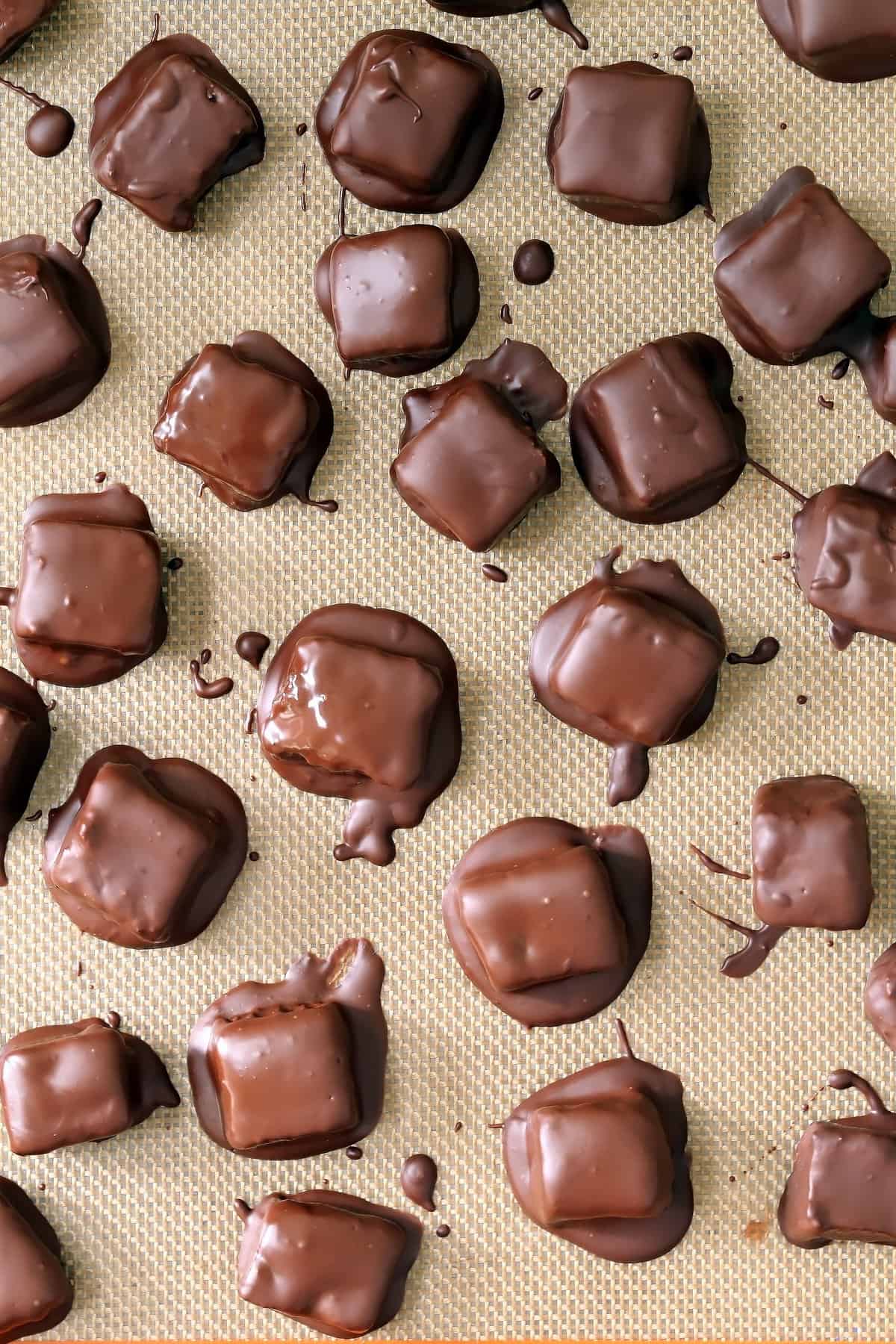 Healthy Dark Chocolate Coconut Bites The Harvest Kitchen