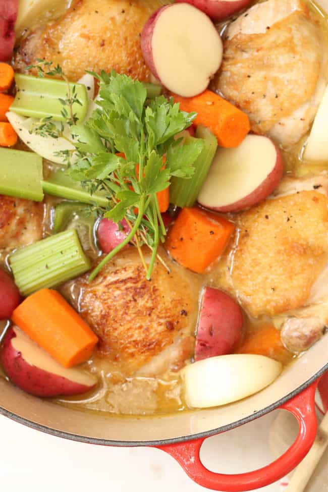 french-chicken-stew