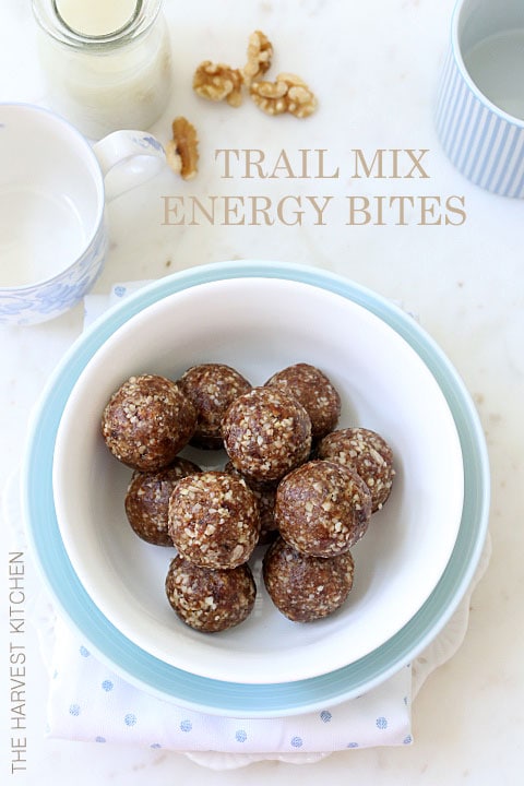 TRAIL-MIX-ENERGY-BITES