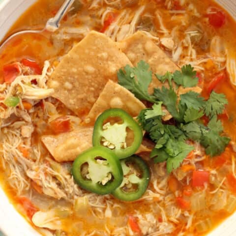 A white bowl filled with chicken chili without beans.