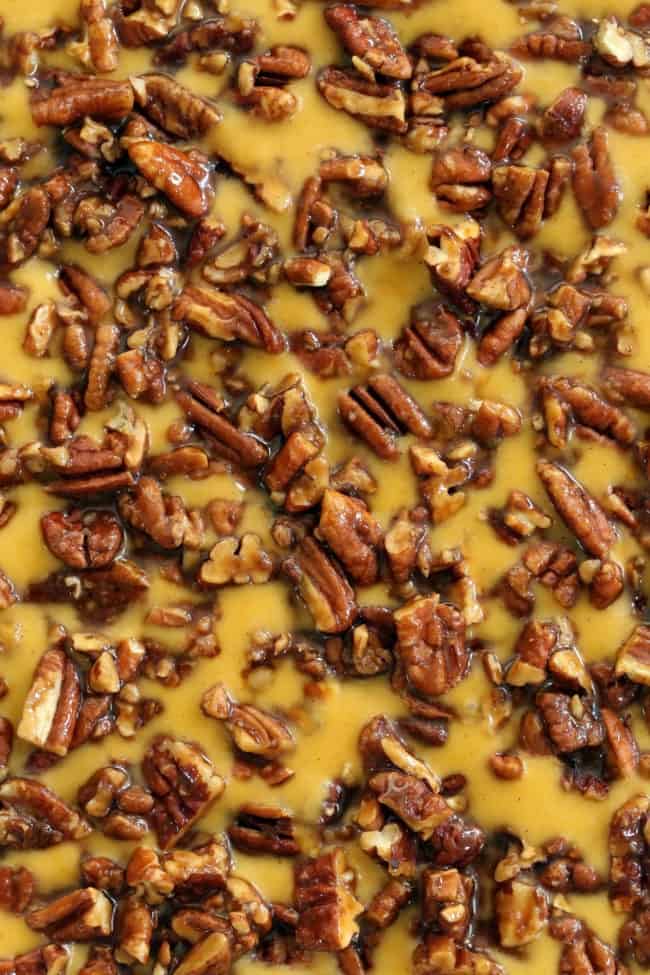 A white pie dish filled with vegan pumpkin pudding.