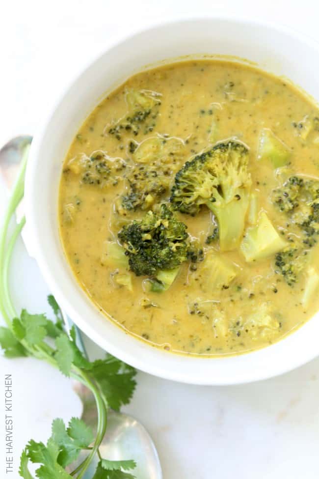 bowl of chunky broccoli soup