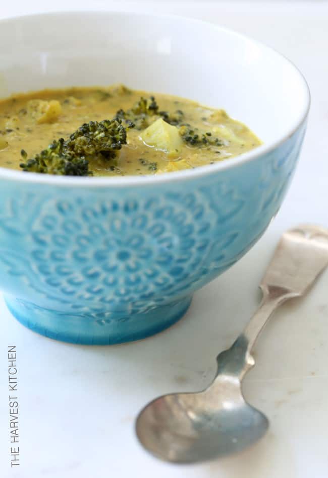 bowl of chunky broccoli soup