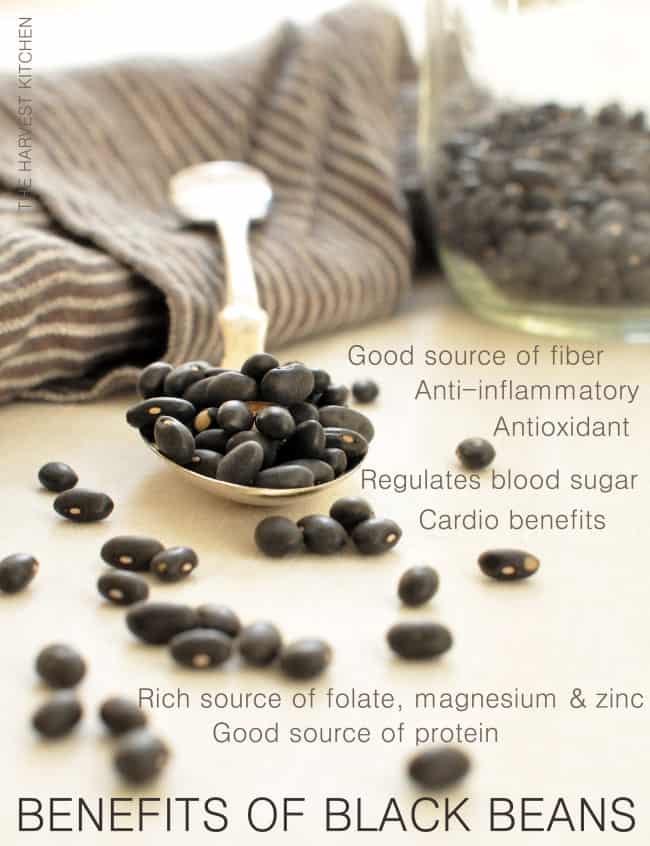 Benefits of Black Beans - Black Beans are an excellent source of protein, iron, thiamin, folate, magnesium, selenium, potassium and zinc