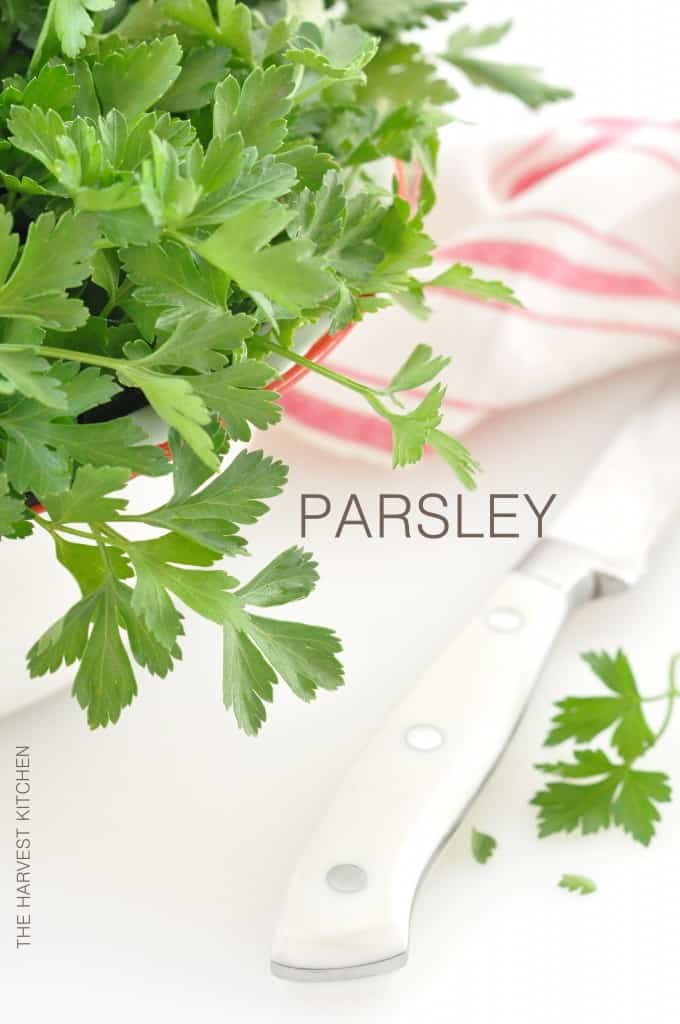Parsley health - If consumed on a daily basis, there are a number of powerful health Benefits of Parsley that you'll want to take advantage of