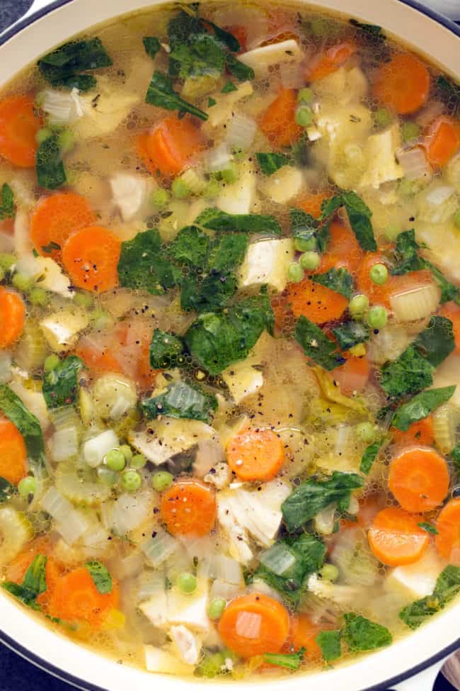 Spring Chicken Vegetable Soup - The Harvest Kitchen