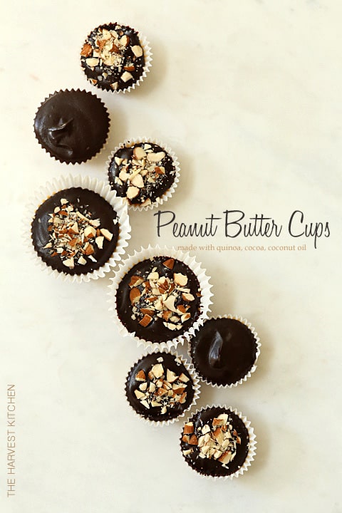 These Healthy Peanut Butter Cups are made with peanut butter, coconut butter, dark chocolate and quinoa flakes and they come together in about 10 minutes