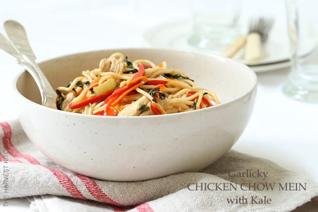 This Chicken Chow Mein Recipe is made with tender noodles, fresh sauteed vegetables and chicken breast all tossed in a delicious Chinese sauce