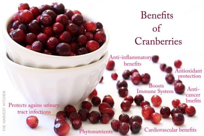 The Benefits of Cranberries are rich with antioxidants and anti-inflammatory properties similar blueberries, bilberries and lingonberries
