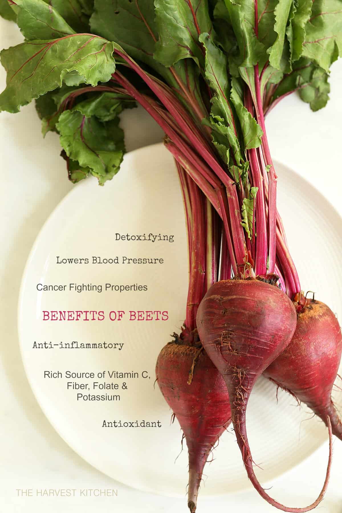 Ruby Queen Beet Seeds For Planting SurvivalGardenSeeds Lupon gov ph