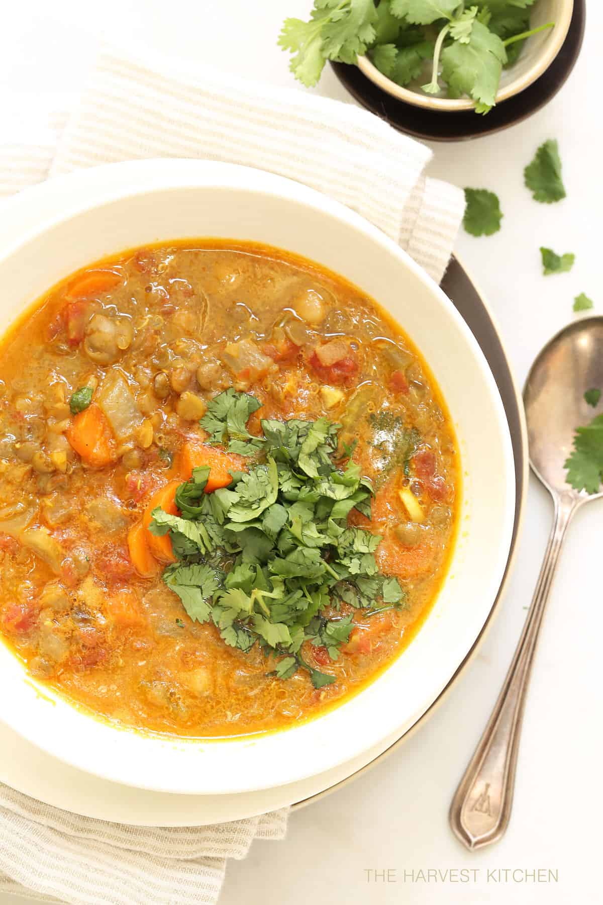 Vegetarian Mulligatawny The Harvest Kitchen