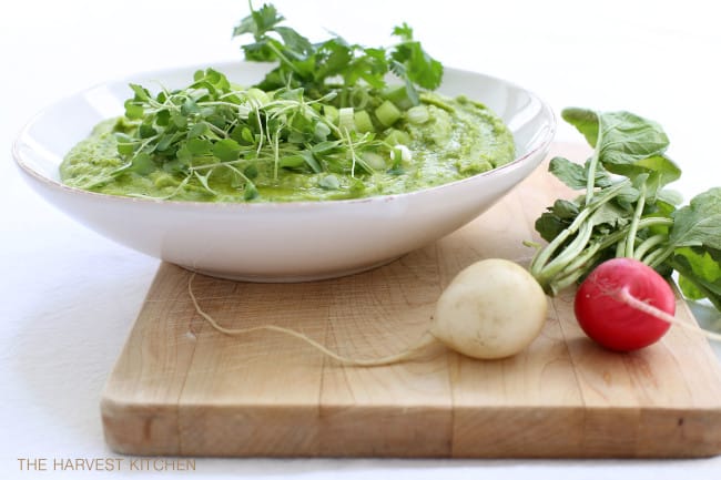 This Spinach Hummus is loaded with chickpeas, spinach, arugula, cilantro, green onion and garlic