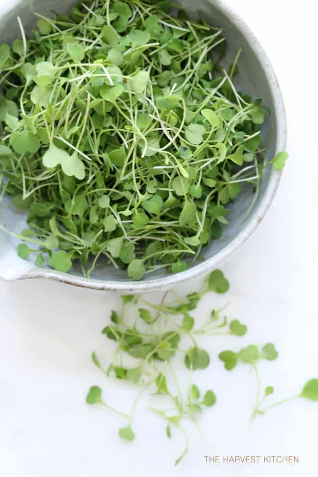 This Spinach Hummus is loaded with chickpeas, spinach, arugula, cilantro, green onion and garlic