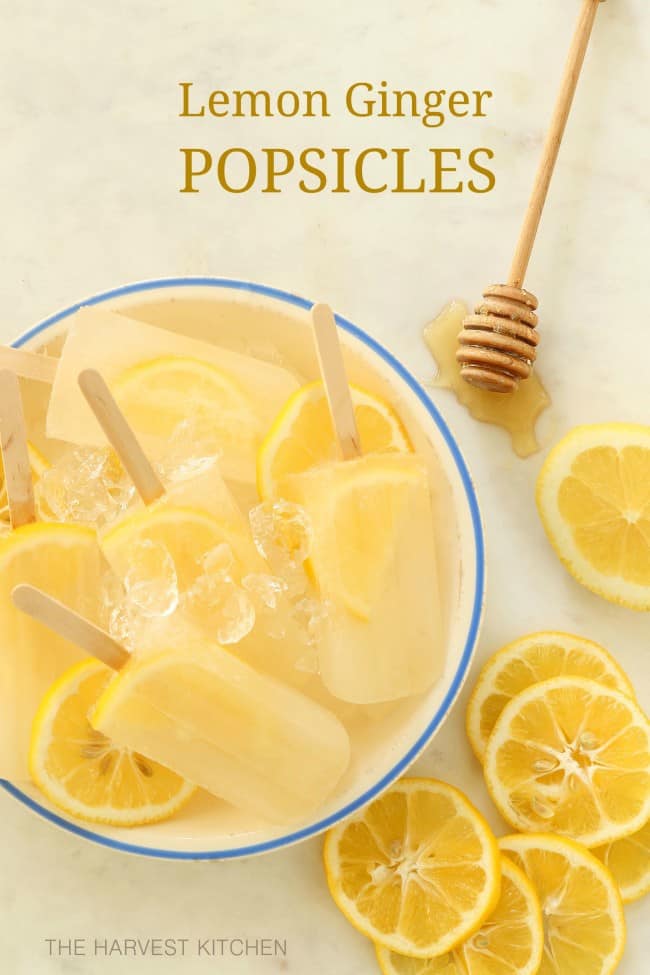 Lemon Ginger Popsicles are made with lemon, ginger, honey and water