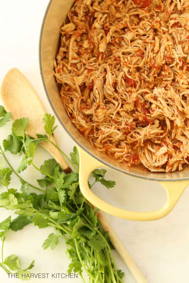 Yellow pot filled with shredded cooked poultry