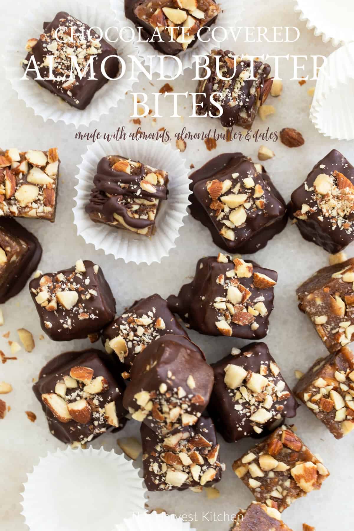Chocolate Covered Almond Butter Bites The Harvest Kitchen