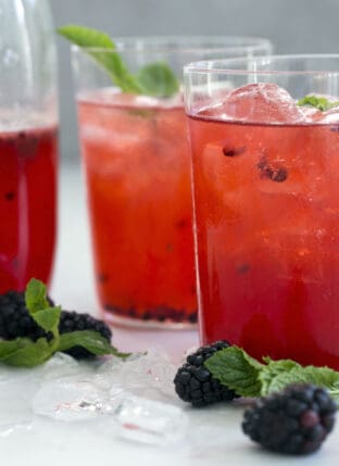 Sparkling Blackberry Mint Spritzer