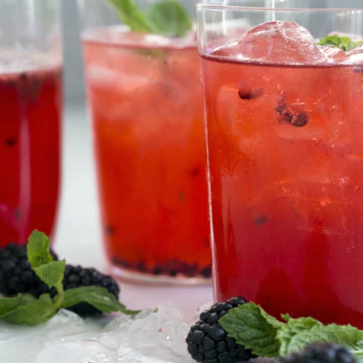 Sparkling Blackberry Mint Spritzer