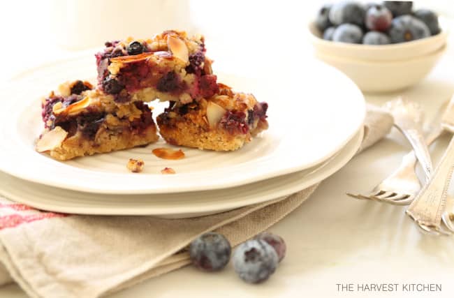 These Healthy Berry Oatmeal Crumb Bars are loaded with berries and the crumb topping is delicately crispy and completely addicting