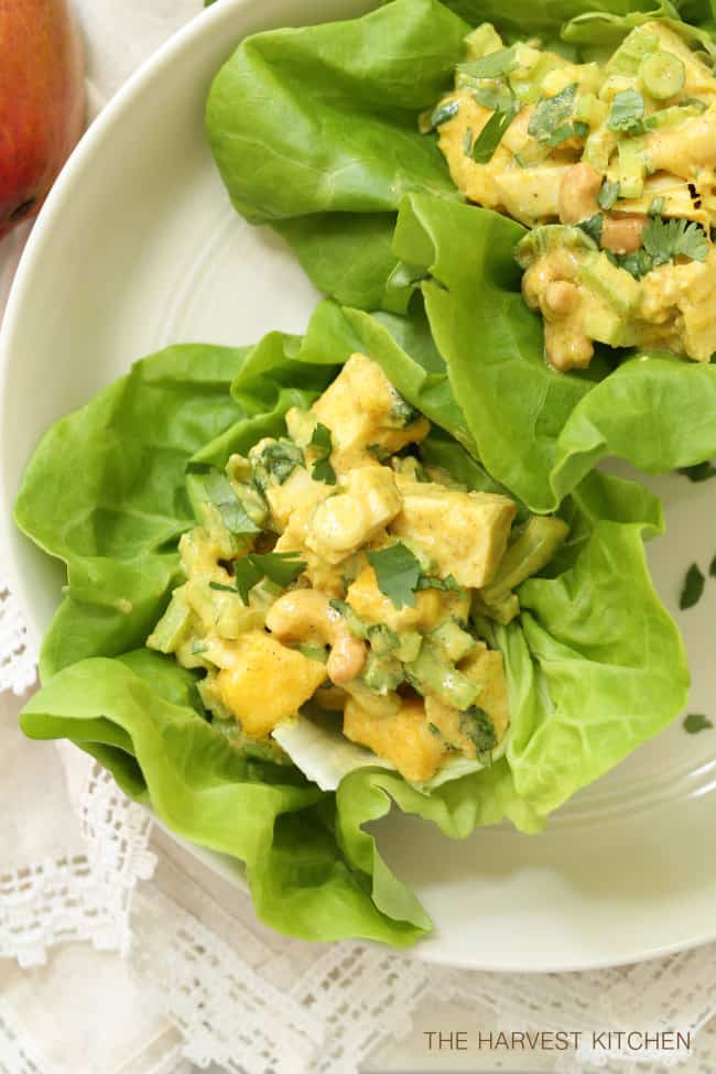 A white plate filled with lettuce wraps filled with chicken curry salad with mango.