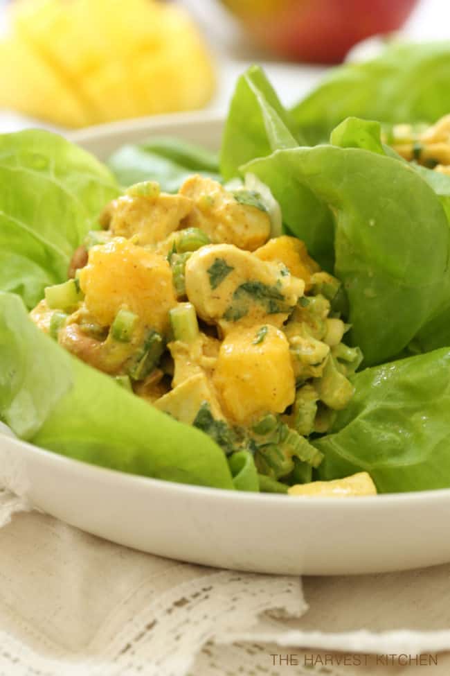 A white bowl filled with curry chicken mango salad in lettuce.