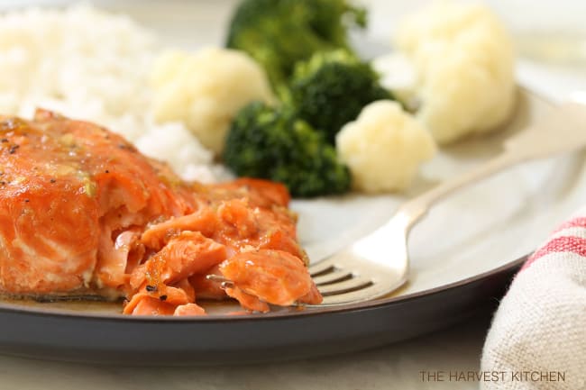 A plate with teriyaki glazed salmon on it. A fork rests next to pieces of flaky salmo.