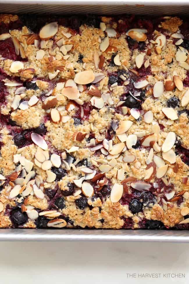 These Healthy Berry Oatmeal Crumb Bars are loaded with berries and the crumb topping is delicately crispy and completely addicting