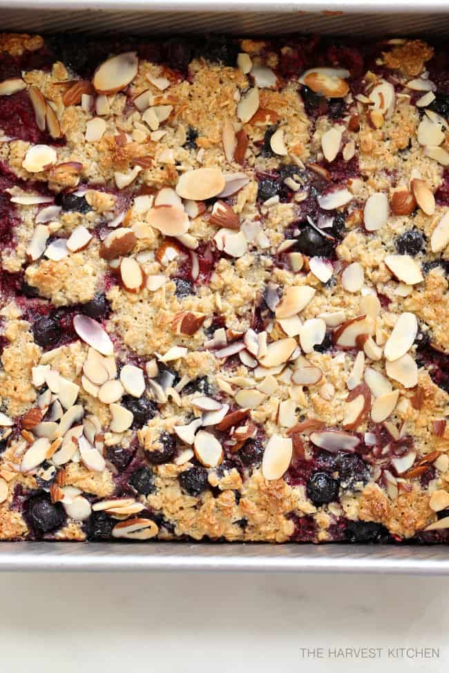 A cake pan filled with baked berry oat bars.