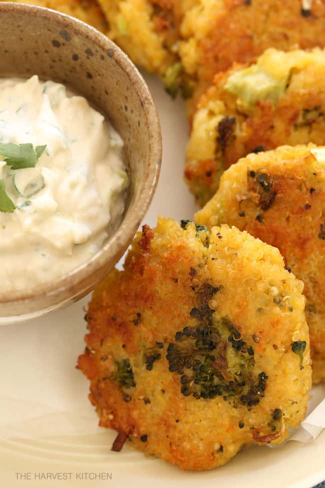 These crispy cheesy Broccoli Fritters are made with quinoa, broccoli, fontina cheese served with an amazing roasted garlic dip