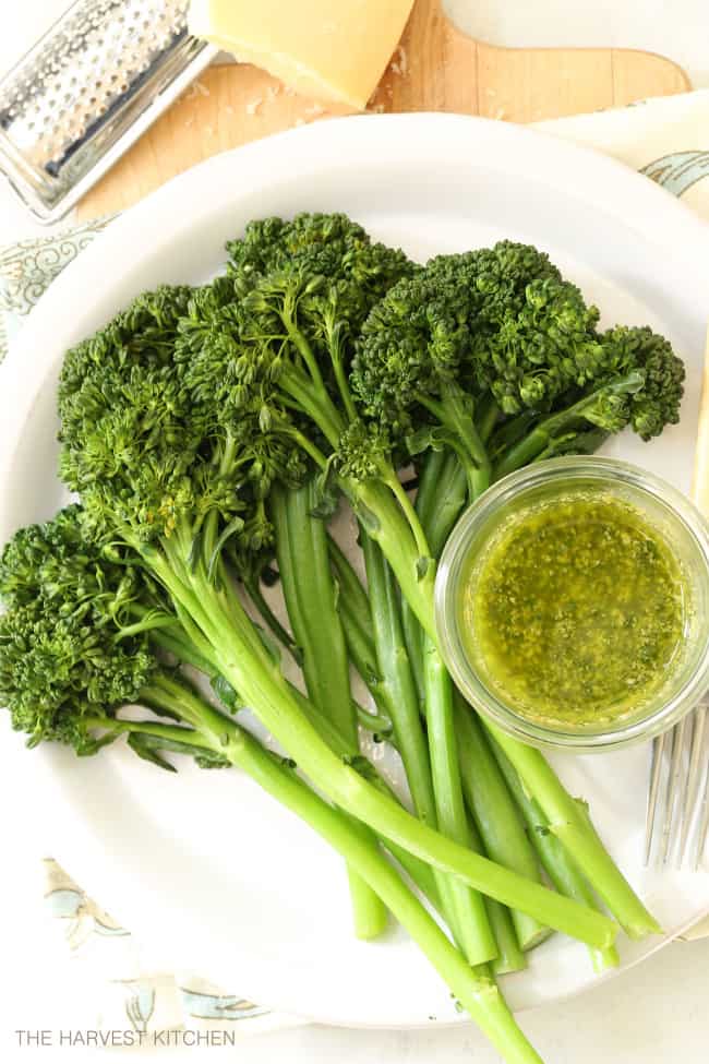 A white plate filled with steamed broccoli.