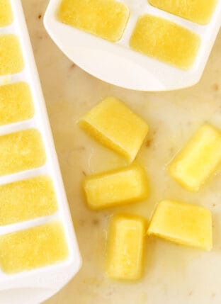 Immune Boosting Whole Lemon Ice Cubes