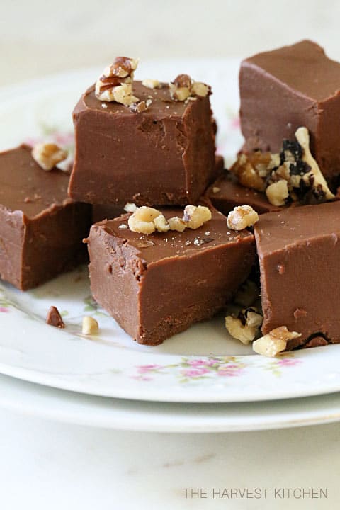 A white plate filled with squares of peanut butter fudge.