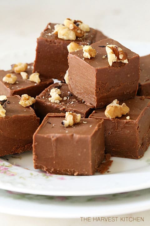 A white plate filled with squares of peanut butter fudge.
