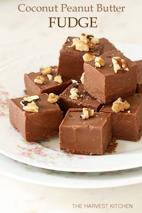 A white plate filled with squares of peanut butter fudge.