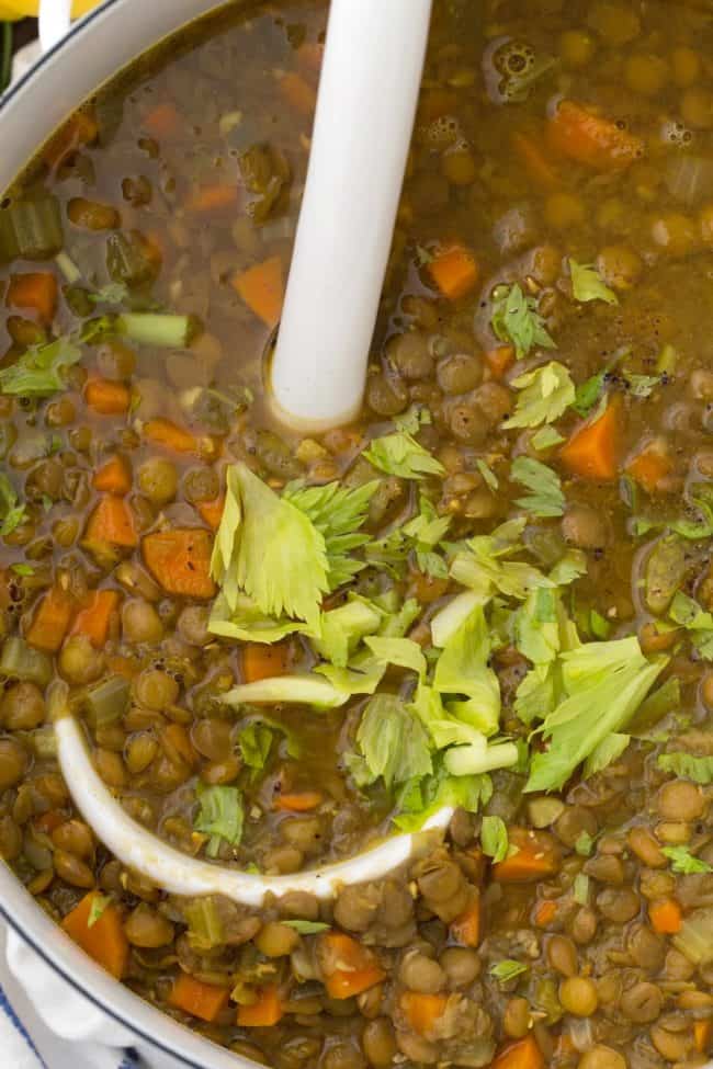 This Vegan Lentil Soup is made with carrots, celery, onion, garlic, Madras curry powder, and vegetable broth. It's quick and easy to make