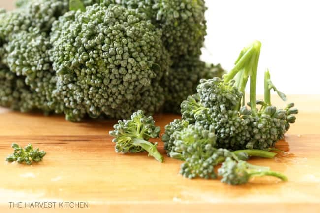 Benefits of Broccoli - potent anti-inflammatory, anti-cancer and antioxidant benefits and other nutrients important for good health