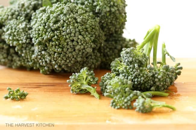 A bunch of broccoli on a wooden cutting board.