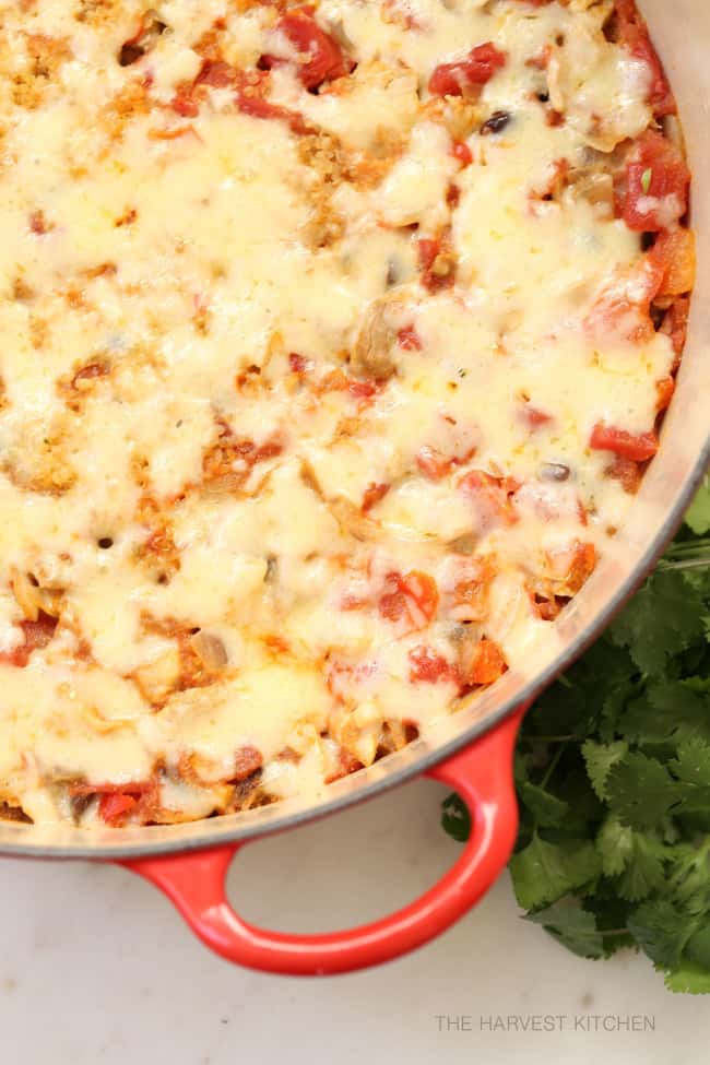 This Chicken Burrito Bowl with Quinoa is a delicious blend of chicken, quinoa, tomatoes and black beans all seasoned with classic Mexican flavors