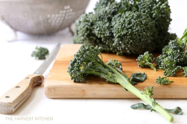 Benefits of Broccoli - potent anti-inflammatory, anti-cancer and antioxidant benefits and other nutrients important for good health