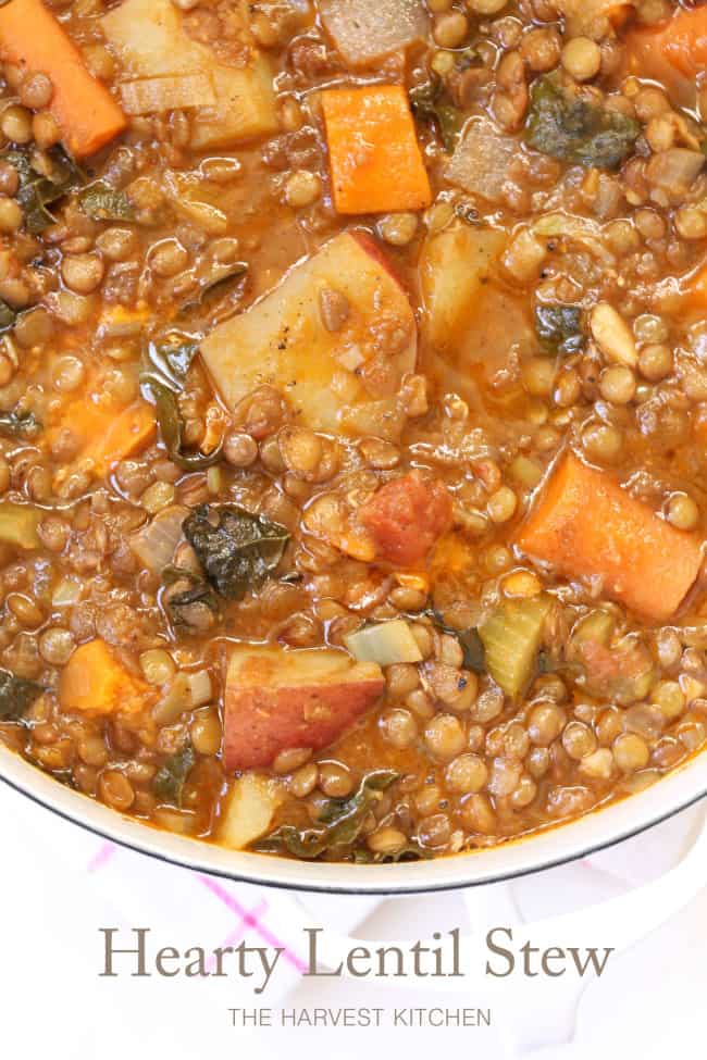 A white pot filled with vegan lentil stew.