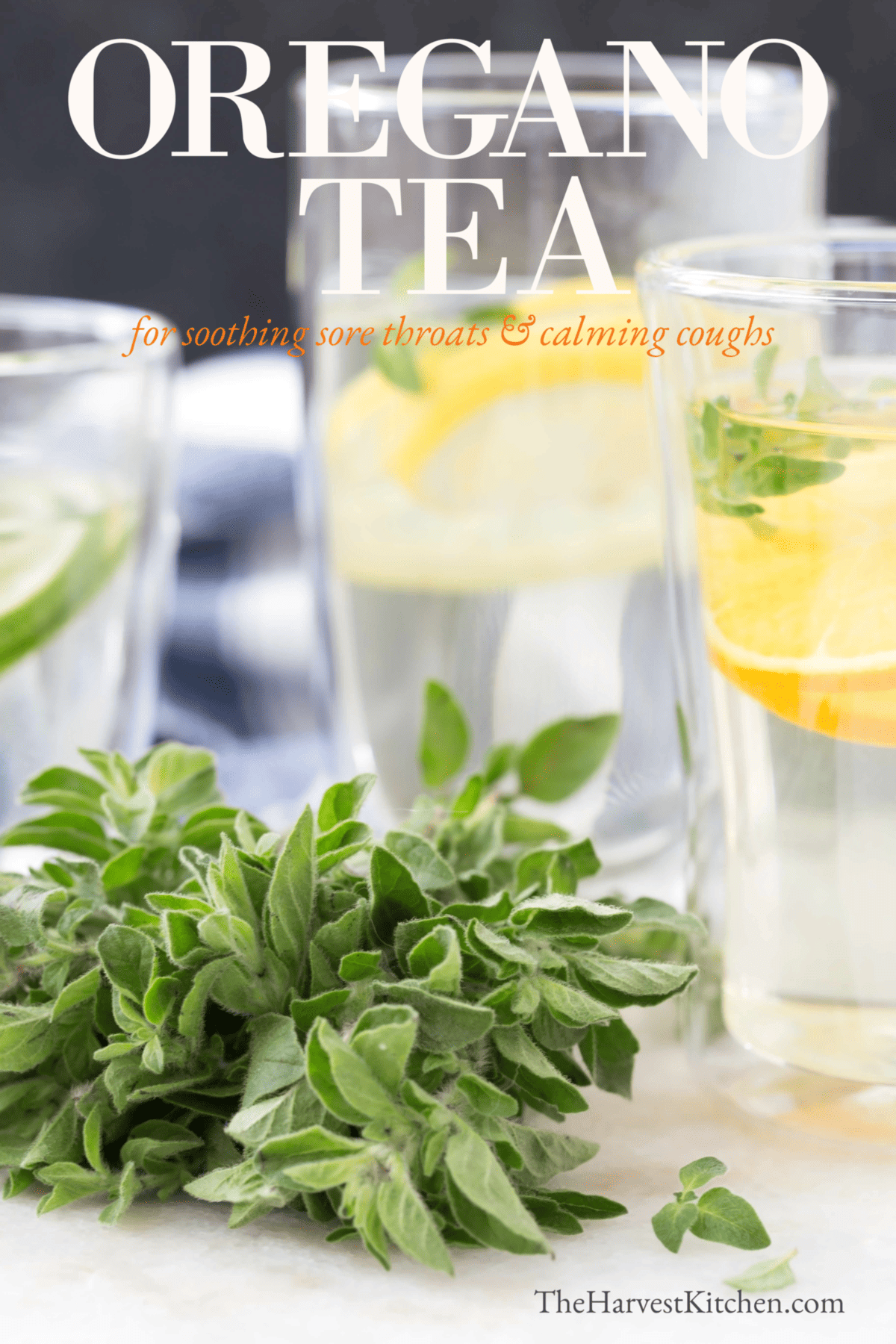 Herbal Oregano Tea The Harvest Kitchen