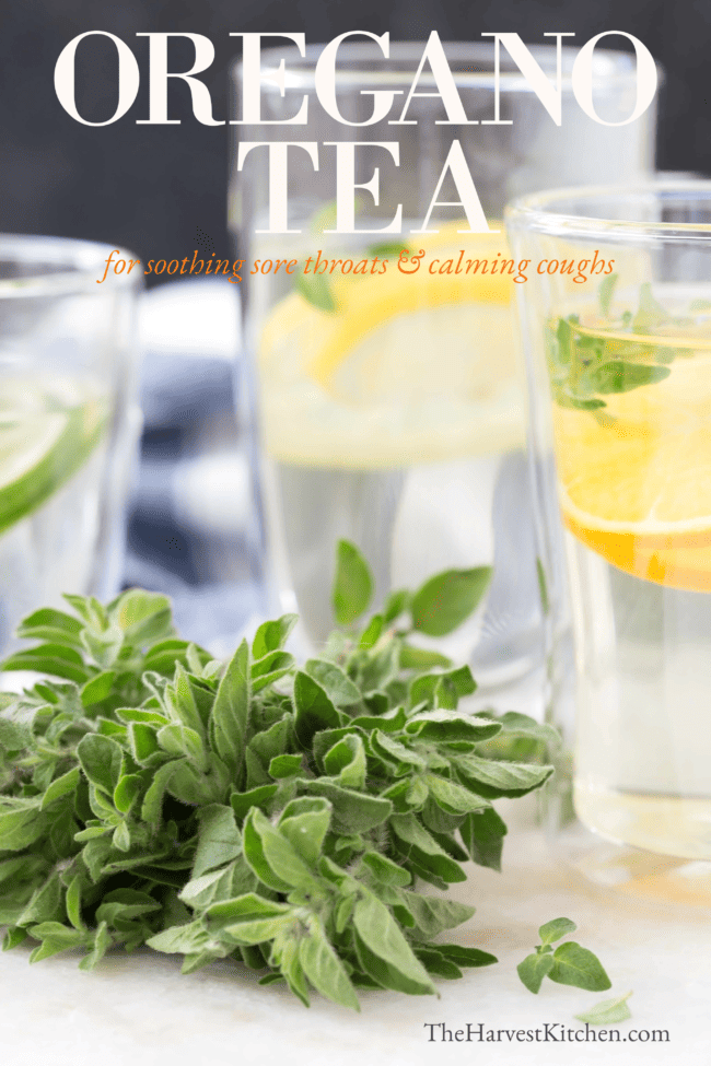 cup of hot water with fresh herbs and fruit slices